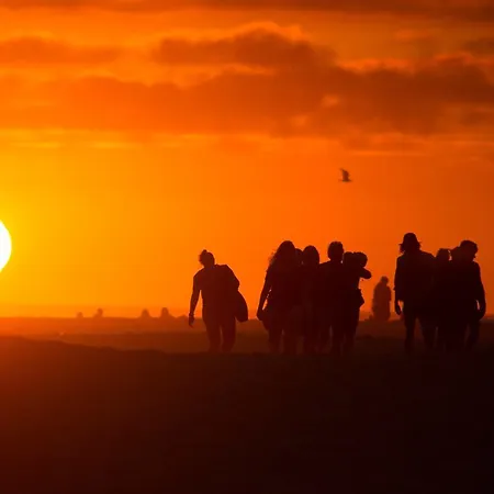 Progress Outdoor Surf *