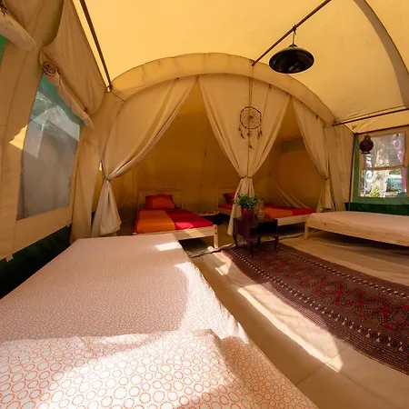 Progress Outdoor Surf Hostal *