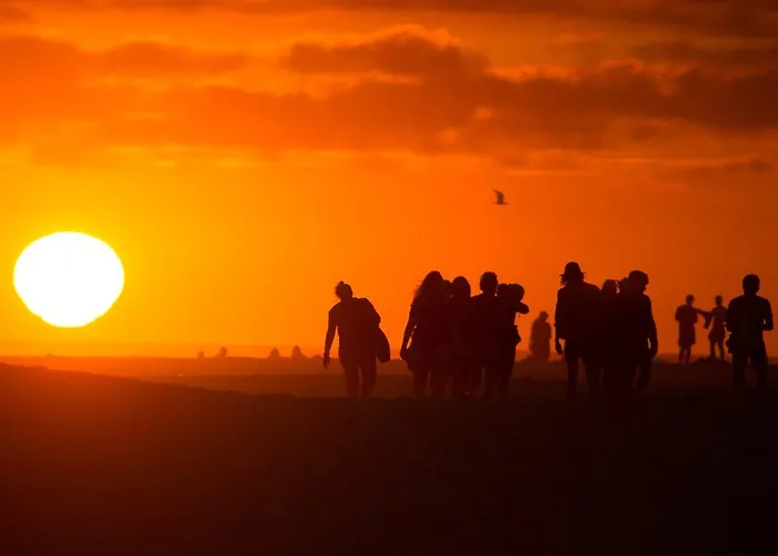 Progress Outdoor Surf *