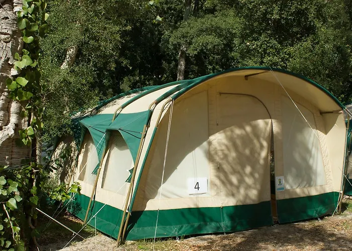 Progress Outdoor Surf Hostel