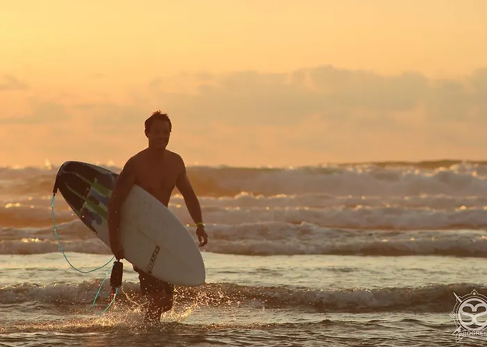 Progress Outdoor Surf אכסניה מולייטס-אה-מא